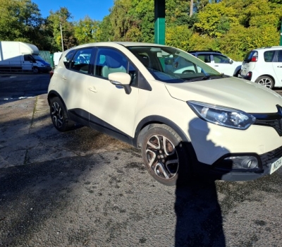 {alt_text}